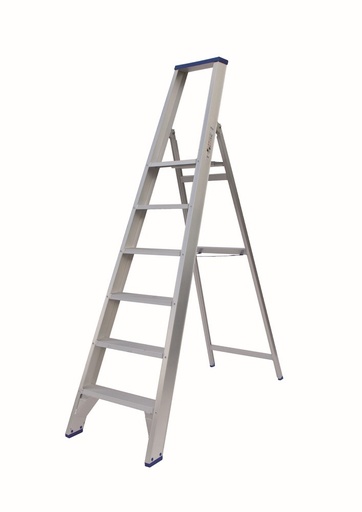 [SOLPT] SOLIDE PT Professionele trapladder