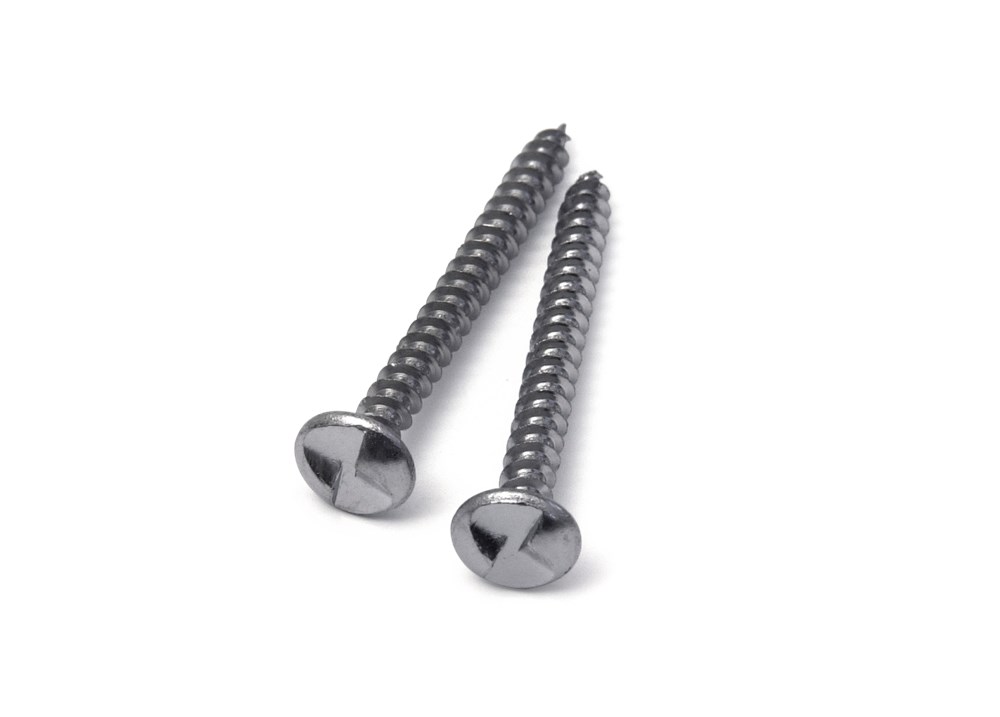 anti-inbraakschroef / 4.0x40 mm / rvs