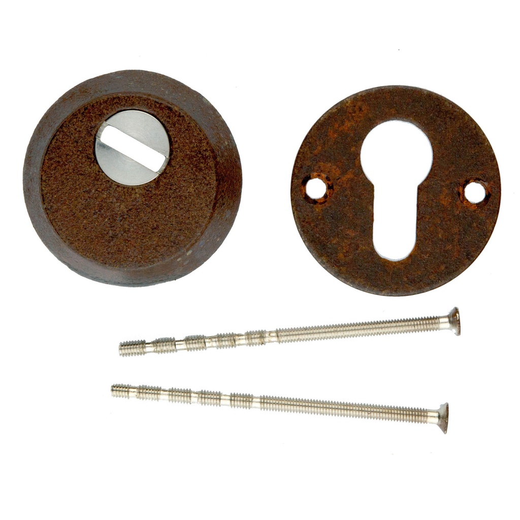 HDD veiligheidscylinder plaatje hdd safe roest 6mm