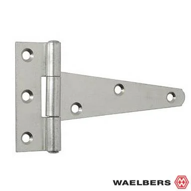 T-heng 100mm RVS licht 