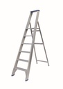 SOLIDE PT Professionele trapladder