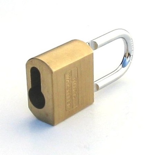 [116PC50HB80NIRO] BURG WACHTER hangslot profi 50mm, rvs hoge beugel 80mm